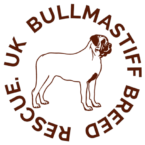 Bullmastiff Rescue and Adoption